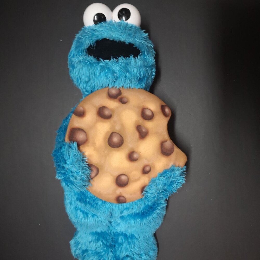 Hasbro Sesame Street Peekaboo Blue Cookie Monster Talking Plush Toy 13"